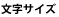 文字の大きさ