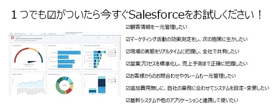 salesfotce.com