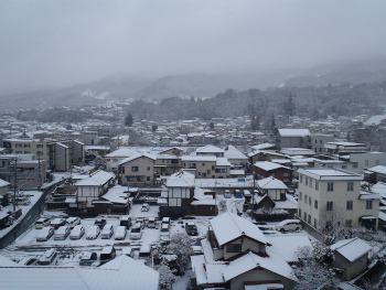 3/12の雪 3/12の雪