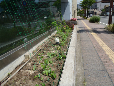 全体図 全体図