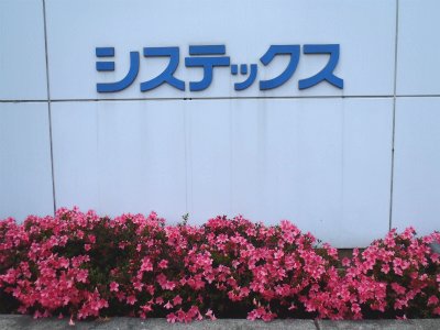 サツキ サツキ