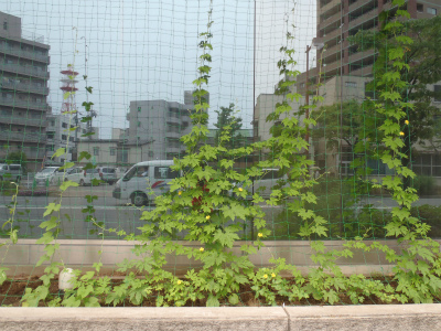20120713 20120713