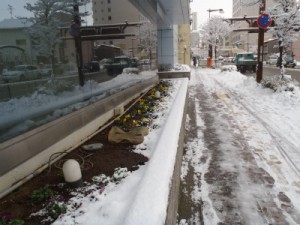 20121210 20121210