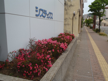 20130613-4 20130613-4