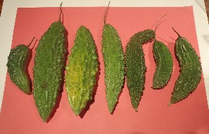 最後の収穫 最後の収穫