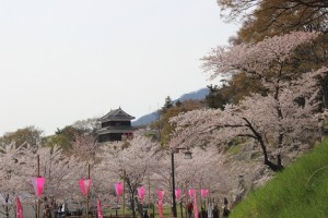 aIMG_1068